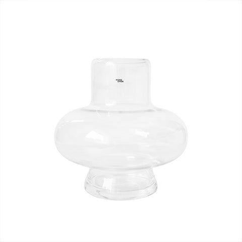 Vase en Verre Transparent avec Fleurs Séchées et Décoration Hydroponique