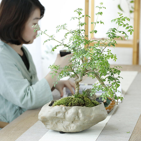 Pot de fleurs en céramique en grès Bol hydroponique en grès chinois