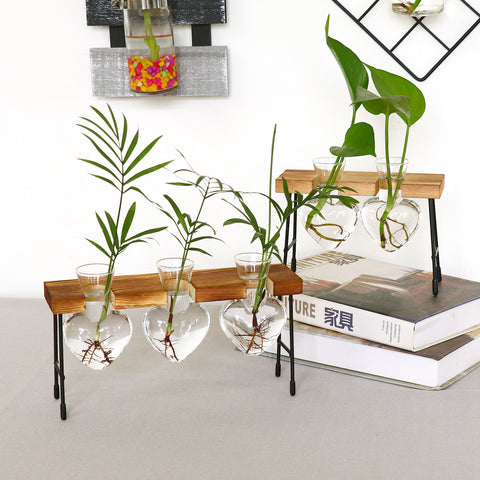 Vase hydroponique créatif en verre, pot de plante de dill vert, jardinière transparente, panneau de surface de bureau, vase décoratif.