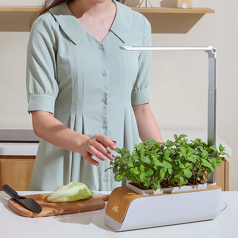 Jardinière hydroponique en ABS, résistante à la déformation, avec ventilation, pour jardin, patio, légumes de printemps