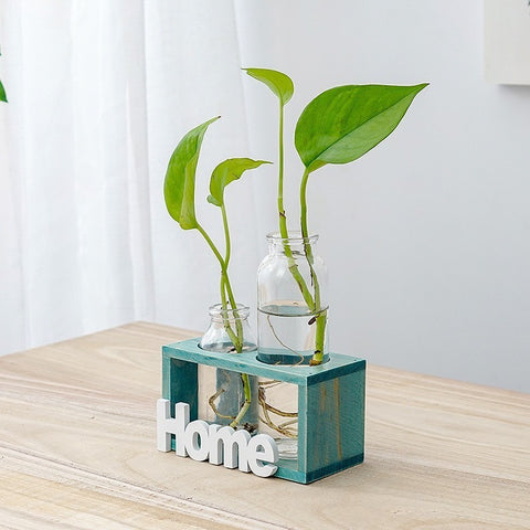 Vase en verre simple et frais pour hydroponie