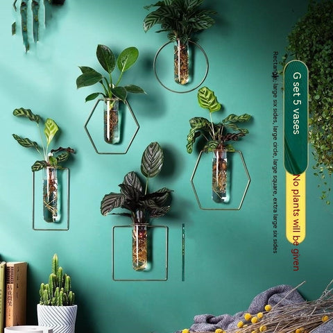 Vase Décoration Murale Pot de fleurs hydroponique Suspendu Décoration Murale