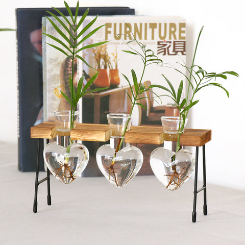 Vase hydroponique créatif en verre, pot de plante de dill vert, jardinière transparente, panneau de surface de bureau, vase décoratif.