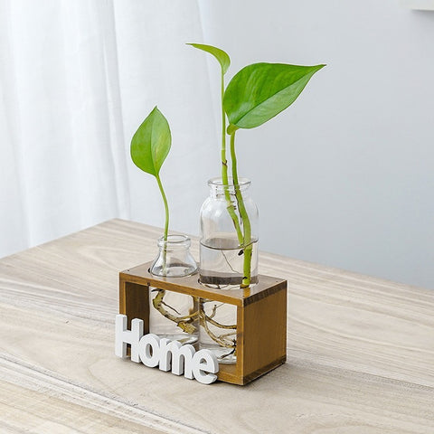 Vase en verre simple et frais pour hydroponie