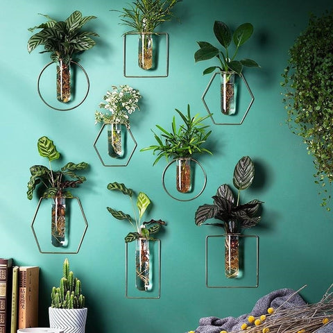 Vase Décoration Murale Pot de fleurs hydroponique Suspendu Décoration Murale