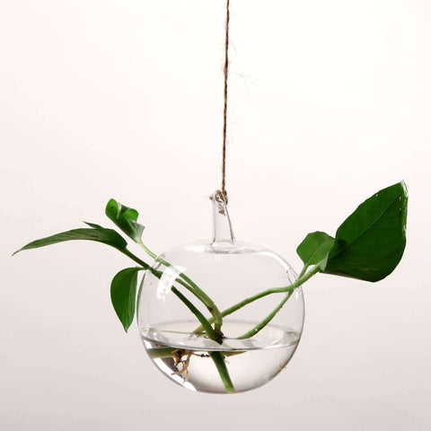 Vase suspendu en verre transparent simple, petite bouteille suspendue hydroponique