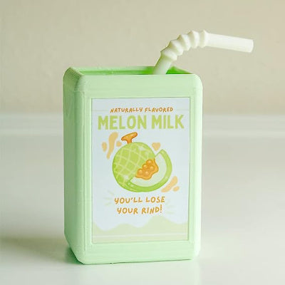 Pot de fleurs en résine boîte à jus Kawaii