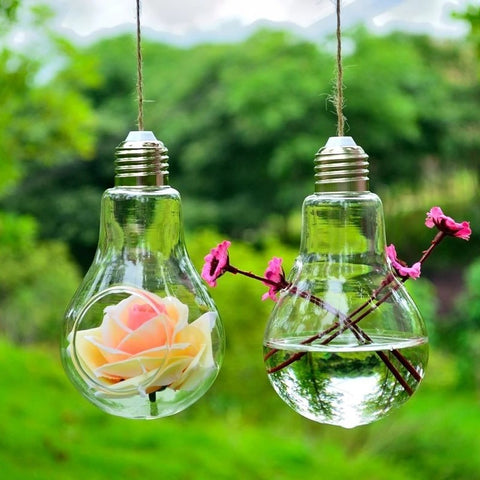 Vase ampoule en verre hydroponique transparent suspendu