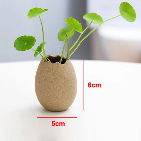 Contenants à fleurs hydroponiques minimalistes en coquille d'œuf d'autruche créatifs