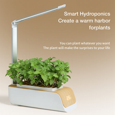 Jardinière hydroponique en ABS, résistante à la déformation, avec ventilation, pour jardin, patio, légumes de printemps