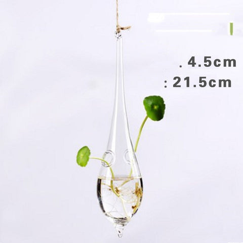 Vase suspendu en verre transparent simple, petite bouteille suspendue hydroponique