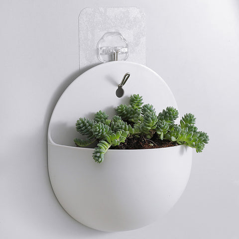 2660 Hydroponic Wall Flower Hanging Basin Wall Mounted Hanging Vase Lazy Plastic Wall Hanging Wall Green Radish Flower Hanging Basin