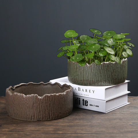 Pot de fleurs en céramique pour plantes hydroponiques Ornements pour articles hydroponiques